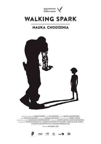 Walking Spark poster