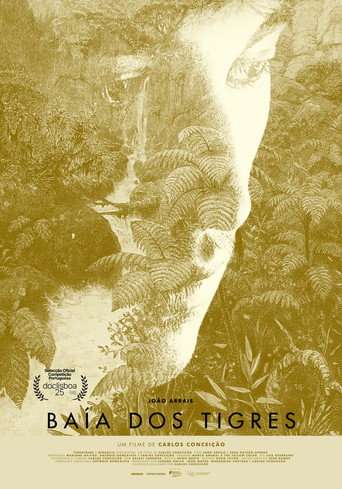 Tiger Bay poster