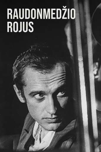 Raudonmedžio Rojus poster