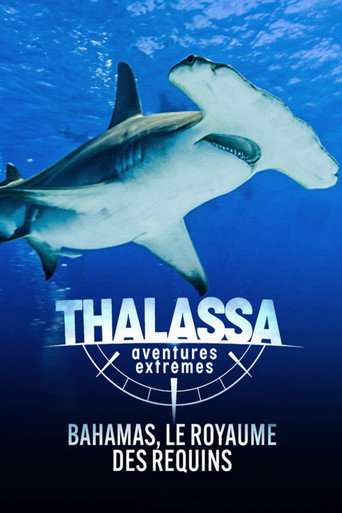 Thalassa, aventures extrêmes poster