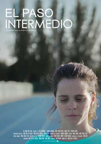 The Intermediate Step poster