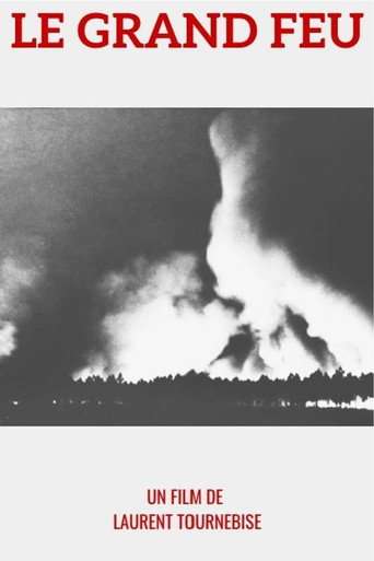 1949 : le Grand feu poster