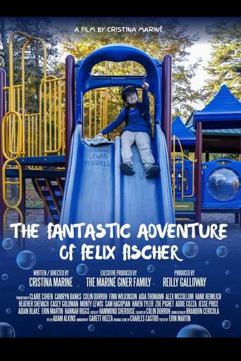 The Fantastic Adventure of Felix Fischer poster