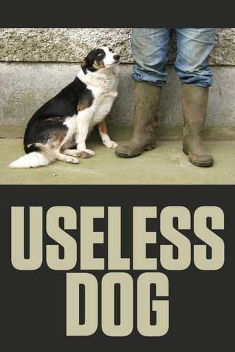 Useless Dog poster
