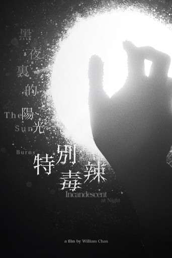 The Sun Burns Incandescent At Night poster