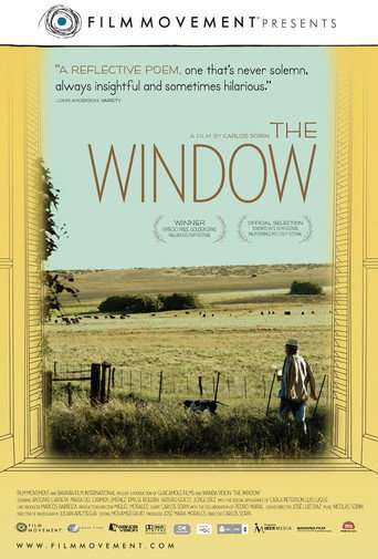 The Window poster