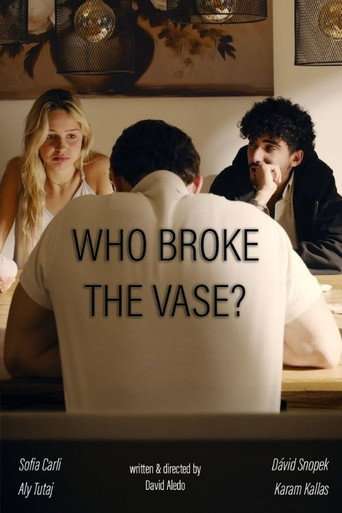 Who broke the vase? poster