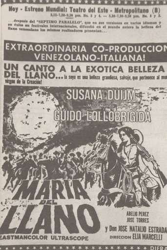 María del Llano poster