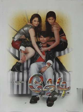 Kedi poster
