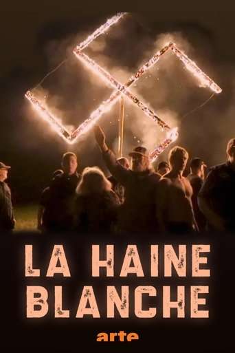 La haine blanche poster