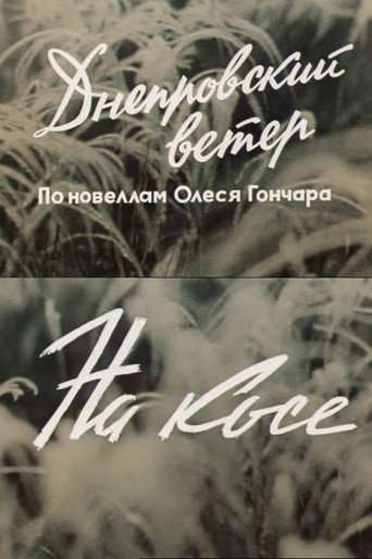 The Dnipro Wind. On the Spit poster