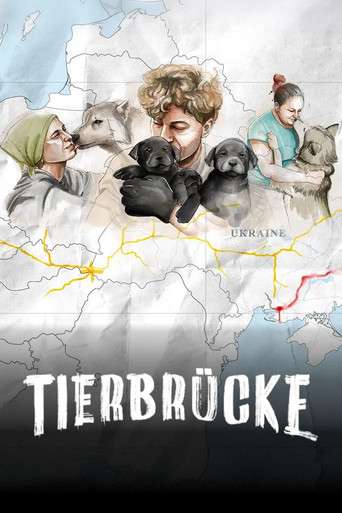 Die Tierbrücke poster