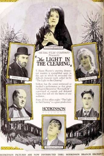 The Light in the Clearing poster