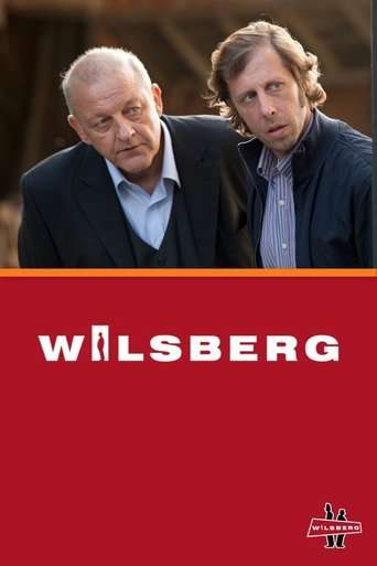 Wilsberg poster