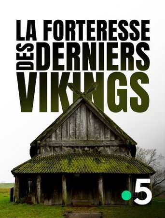 Viking City of the Dead poster