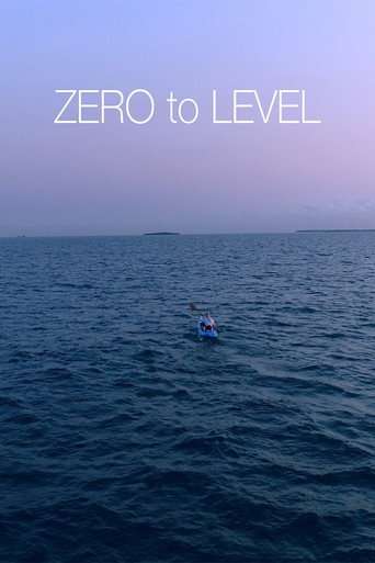 Zero to Level poster