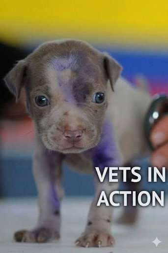 Vets In Action poster