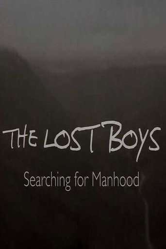 The Lost Boys: Searching for Manhood poster