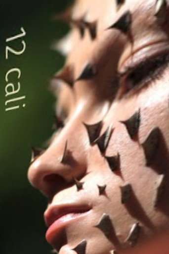 12 cali poster