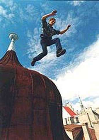 Roof Man poster