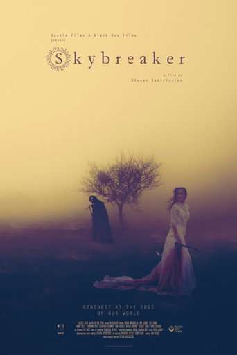 Skybreaker poster