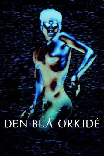 The Blue Orchid poster