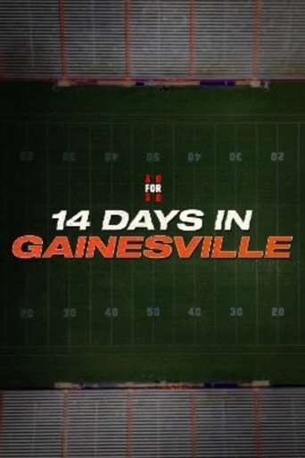 14 Days in Gainesville poster