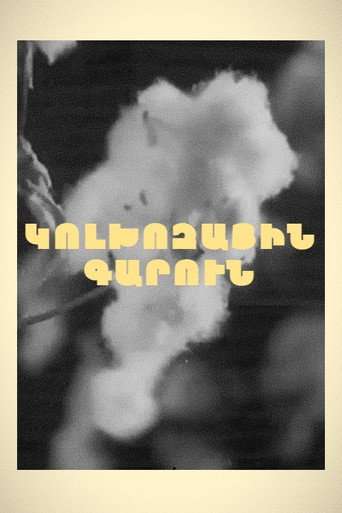 Spring in Kolkhoz poster
