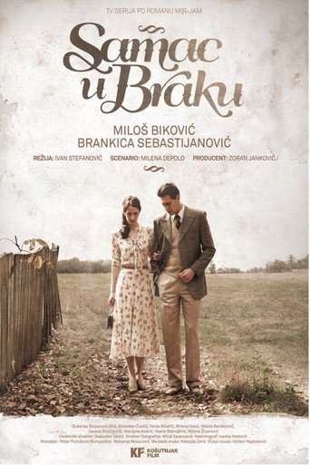 Married But Single poster