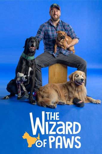 The Wizard of Paws poster