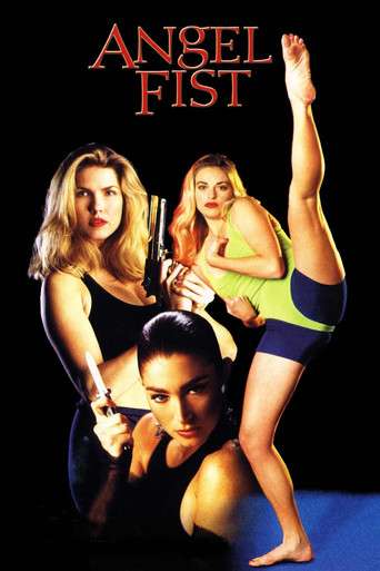Angelfist poster