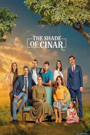 The Shade of Cinar poster