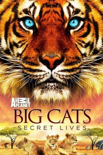 Big Cats: Secret Lives poster
