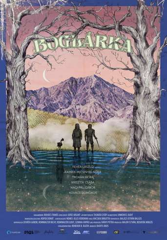 Boglárka poster