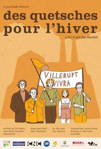 Des quetsches pour l'hiver poster