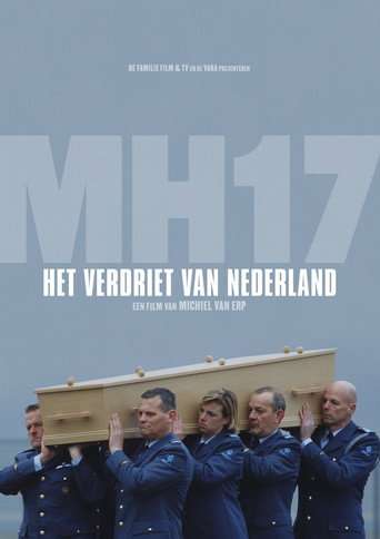 MH17: Het verdriet van Nederland poster