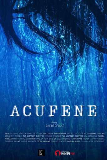Acufene poster