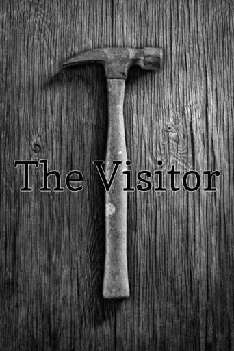 The Visitor poster