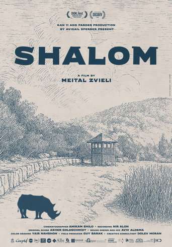 Shalom poster