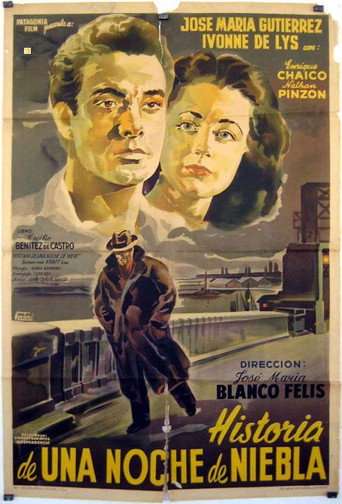 Historia de una noche de niebla poster