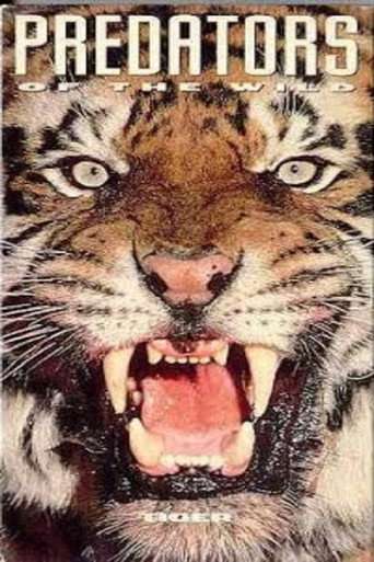Predators of the Wild: Tiger poster