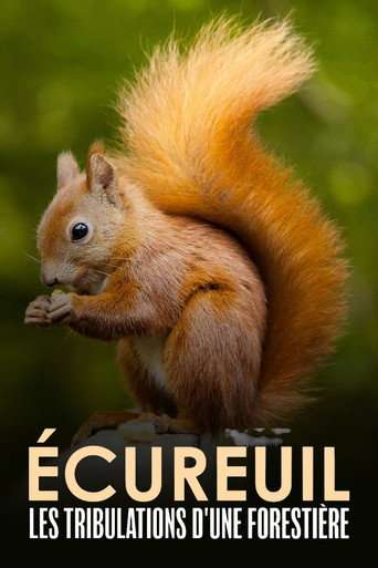 Écureuil : Les Tribulations d'une forestière poster