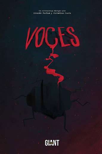 Voices poster