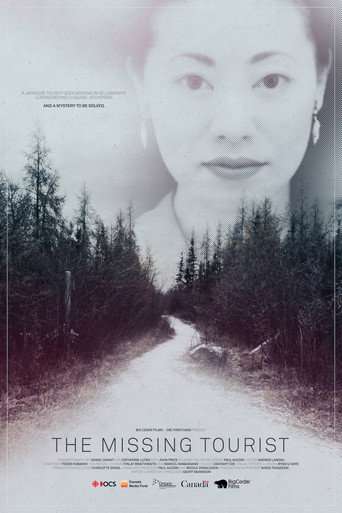 The Missing Tourist poster