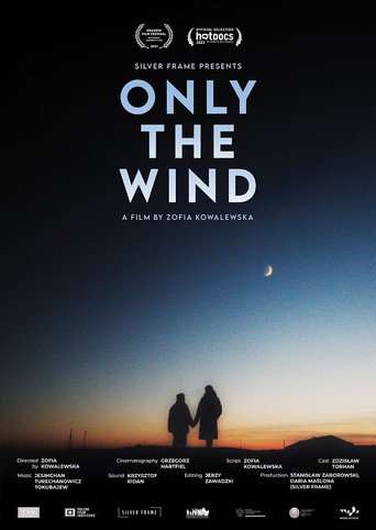 Only the Wind poster
