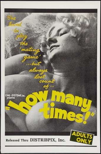 How Many Times poster
