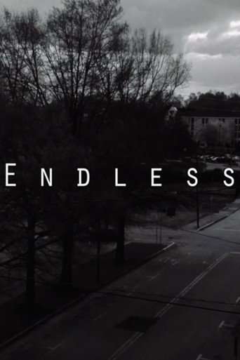 Endless poster