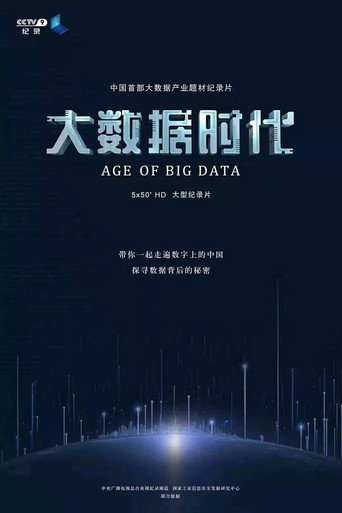 大数据时代 poster