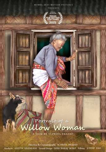 PORTRAIT OF A WILLOW WOMAN poster