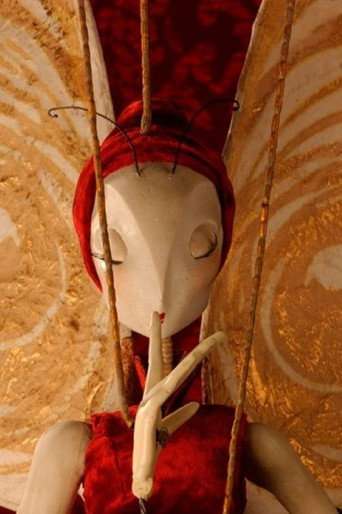 The Butterfly Woman poster
